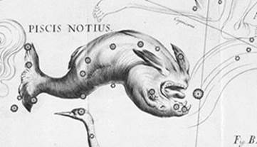 piscisnotius_hevelius.jpg