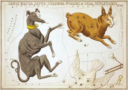 constellation-lepus.jpg